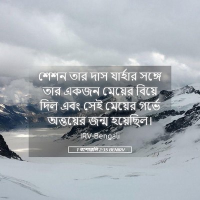 Picture 05 - 1 বংশাৱলি 2:35 BENIRV - শেশন তার দাস - Bible Verse Picture