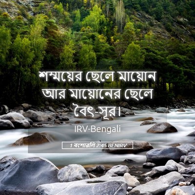 Picture 05 - 1 বংশাৱলি 2:45 BENIRV - শম্ময়ের ছেলে - Bible Verse Picture