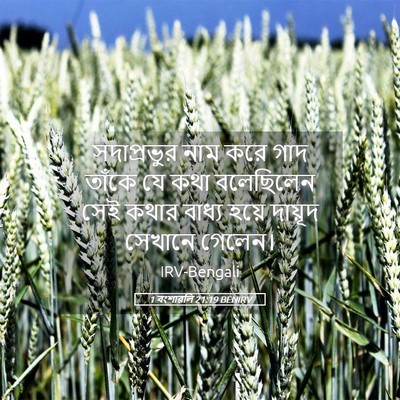 Picture 05 - 1 বংশাৱলি 21:19 BENIRV - সদাপ্রভুর নাম করে - Bible Verse Picture