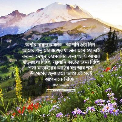 Picture 05 - 1 বংশাৱলি 21:23 BENIRV - অর্ণান দায়ূদকে - Bible Verse Picture