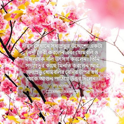 Picture 05 - 1 বংশাৱলি 21:26 BENIRV - দায়ূদ সেখানে - Bible Verse Picture