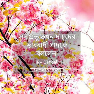 Picture 05 - 1 বংশাৱলি 21:9 BENIRV - সদাপ্রভু তখন - Bible Verse Picture