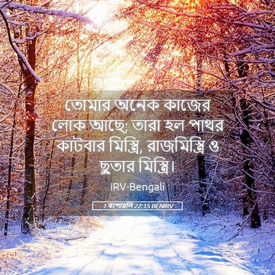 Picture 05 - 1 বংশাৱলি 22:15 BENIRV - তোমার অনেক কাজের - Bible Verse Picture
