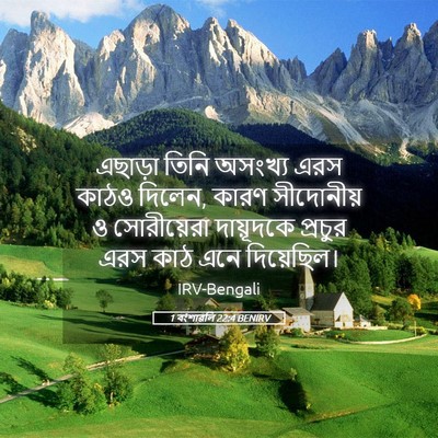 Picture 05 - 1 বংশাৱলি 22:4 BENIRV - এছাড়া তিনি - Bible Verse Picture