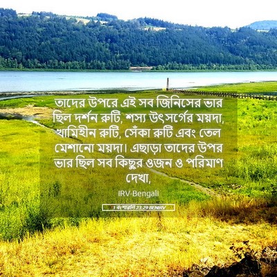Picture 05 - 1 বংশাৱলি 23:29 BENIRV - তাদের উপরে এই সব - Bible Verse Picture