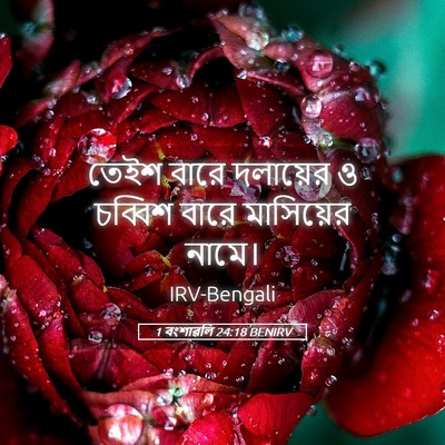 Picture 05 - 1 বংশাৱলি 24:18 BENIRV - তেইশ বারে দলায়ের - Bible Verse Picture