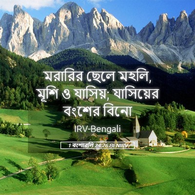 Picture 05 - 1 বংশাৱলি 24:26 BENIRV - মরারির ছেলে মহলি, - Bible Verse Picture