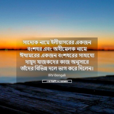 Picture 05 - 1 বংশাৱলি 24:3 BENIRV - সাদোক নামে - Bible Verse Picture