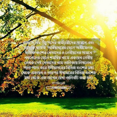 Picture 05 - 1 বংশাৱলি 24:6 BENIRV - রাজা ও তাঁর উঁচু - Bible Verse Picture