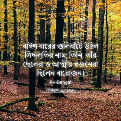 Picture 05 - 1 বংশাৱলি 25:29 BENIRV - বাইশ বারের - Bible Verse Picture