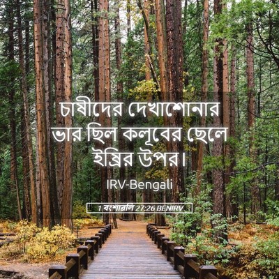 Picture 05 - 1 বংশাৱলি 27:26 BENIRV - চাষীদের দেখাশোনার - Bible Verse Picture
