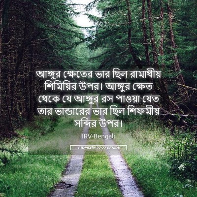Picture 05 - 1 বংশাৱলি 27:27 BENIRV - আঙ্গুর ক্ষেতের - Bible Verse Picture