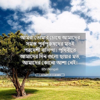 Picture 05 - 1 বংশাৱলি 29:15 BENIRV - আমরা তোমার চোখে - Bible Verse Picture
