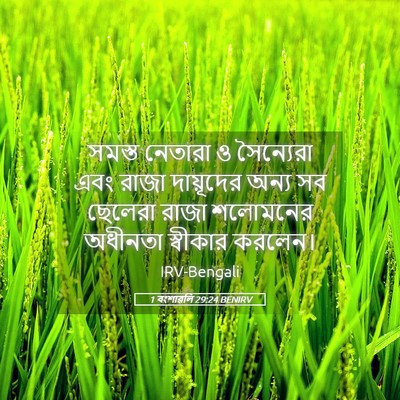 Picture 05 - 1 বংশাৱলি 29:24 BENIRV - সমস্ত নেতারা ও - Bible Verse Picture