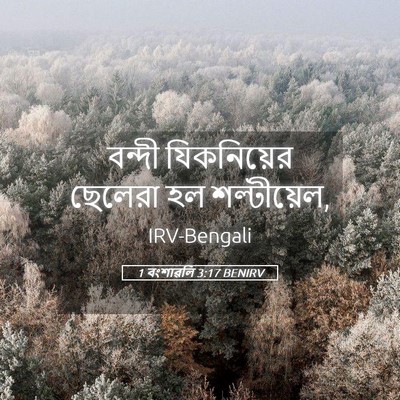 Picture 05 - 1 বংশাৱলি 3:17 BENIRV - বন্দী যিকনিয়ের - Bible Verse Picture