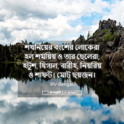 Picture 05 - 1 বংশাৱলি 3:22 BENIRV - শখনিয়ের বংশের - Bible Verse Picture