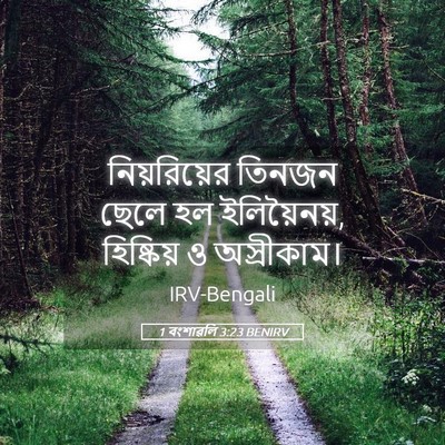 Picture 05 - 1 বংশাৱলি 3:23 BENIRV - নিয়রিয়ের তিনজন - Bible Verse Picture
