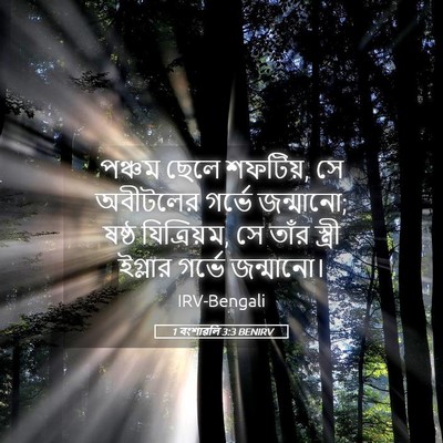 Picture 05 - 1 বংশাৱলি 3:3 BENIRV - পঞ্চম ছেলে শফটিয়, - Bible Verse Picture
