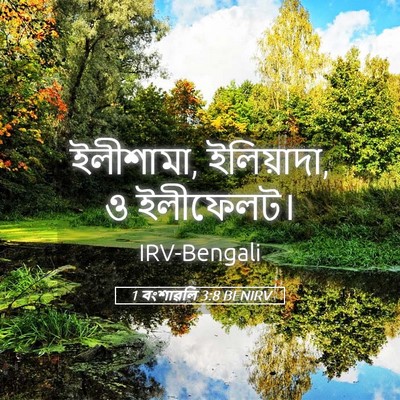 Picture 05 - 1 বংশাৱলি 3:8 BENIRV - ইলীশামা, ইলিয়াদা, - Bible Verse Picture