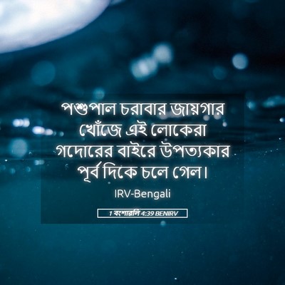 Picture 05 - 1 বংশাৱলি 4:39 BENIRV - পশুপাল চরাবার - Bible Verse Picture