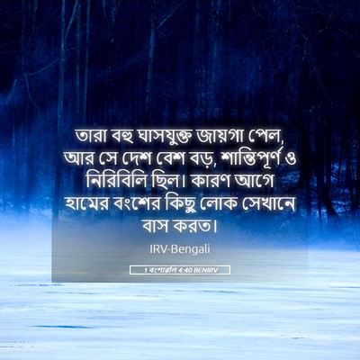 Picture 05 - 1 বংশাৱলি 4:40 BENIRV - তারা বহু ঘাসযুক্ত - Bible Verse Picture
