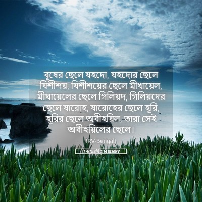 Picture 05 - 1 বংশাৱলি 5:14 BENIRV - বূষের ছেলে যহদো, - Bible Verse Picture