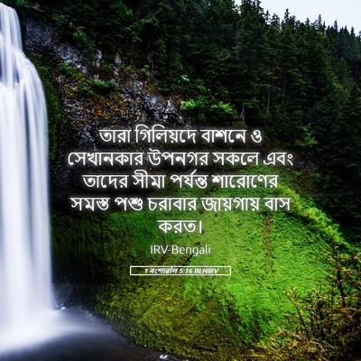 Picture 05 - 1 বংশাৱলি 5:16 BENIRV - তারা গিলিয়দে - Bible Verse Picture