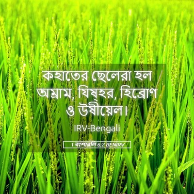 Picture 05 - 1 বংশাৱলি 6:2 BENIRV - কহাতের ছেলেরা হল - Bible Verse Picture