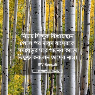 Picture 05 - 1 বংশাৱলি 6:31 BENIRV - নিয়ম সিন্দুক - Bible Verse Picture