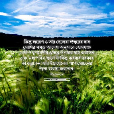 Picture 05 - 1 বংশাৱলি 6:49 BENIRV - কিন্তু হারোণ ও - Bible Verse Picture