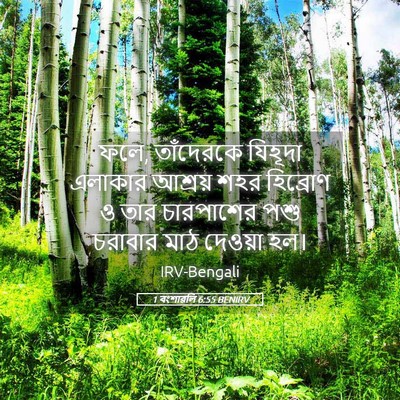 Picture 05 - 1 বংশাৱলি 6:55 BENIRV - ফলে, তাঁদেরকে - Bible Verse Picture
