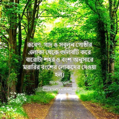 Picture 05 - 1 বংশাৱলি 6:63 BENIRV - রূবেণ, গাদ ও সবূলূন - Bible Verse Picture