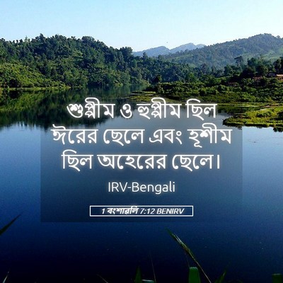 Picture 05 - 1 বংশাৱলি 7:12 BENIRV - শুপ্পীম ও হুপ্পীম - Bible Verse Picture