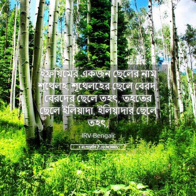 Picture 05 - 1 বংশাৱলি 7:20 BENIRV - ইফ্রয়িমের একজন - Bible Verse Picture
