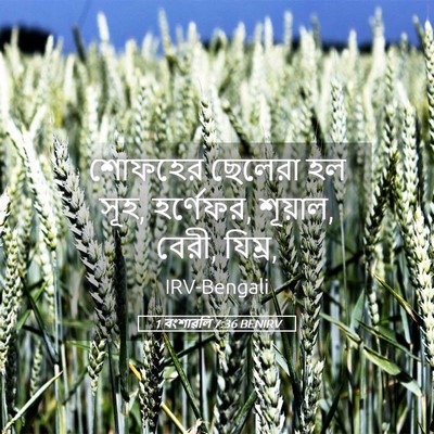 Picture 05 - 1 বংশাৱলি 7:36 BENIRV - শোফহের ছেলেরা হল - Bible Verse Picture