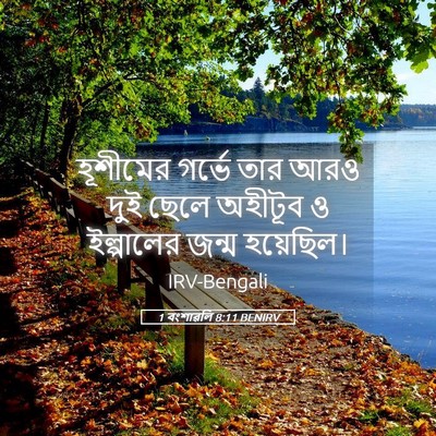 Picture 05 - 1 বংশাৱলি 8:11 BENIRV - হূশীমের গর্ভে তার - Bible Verse Picture
