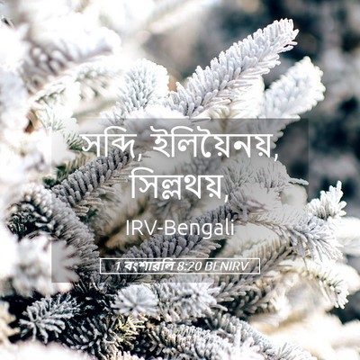 Picture 05 - 1 বংশাৱলি 8:20 BENIRV - সব্দি, ইলিয়ৈনয়, - Bible Verse Picture