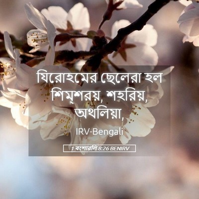 Picture 05 - 1 বংশাৱলি 8:26 BENIRV - যিরোহমের ছেলেরা - Bible Verse Picture