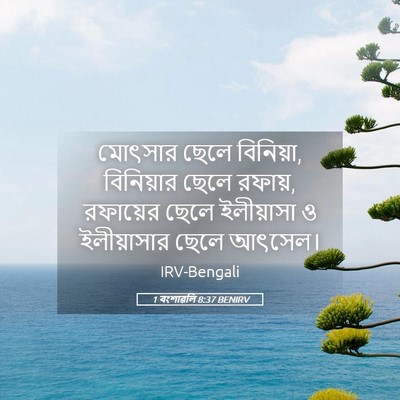 Picture 05 - 1 বংশাৱলি 8:37 BENIRV - মোৎসার ছেলে - Bible Verse Picture