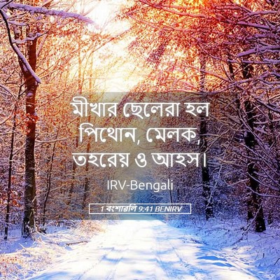 Picture 05 - 1 বংশাৱলি 9:41 BENIRV - মীখার ছেলেরা হল - Bible Verse Picture