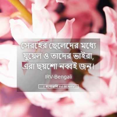 Picture 05 - 1 বংশাৱলি 9:6 BENIRV - সেরহের ছেলেদের - Bible Verse Picture