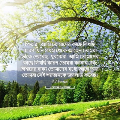 Picture 05 - 1 যোহনের 2:14 BENIRV - পিতারা, আমি - Bible Verse Picture