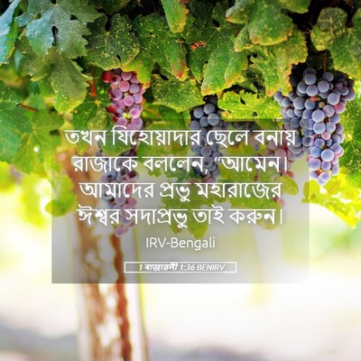 Picture 05 - 1 ৰাজাৱলী 1:36 BENIRV - তখন যিহোয়াদার - Bible Verse Picture