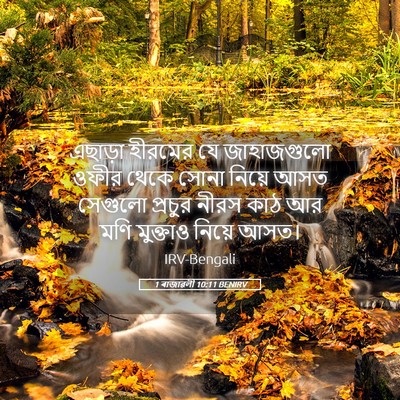 Picture 05 - 1 ৰাজাৱলী 10:11 BENIRV - এছাড়া হীরমের যে - Bible Verse Picture