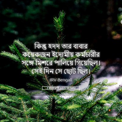 Picture 05 - 1 ৰাজাৱলী 11:17 BENIRV - কিন্তু হদদ তার - Bible Verse Picture