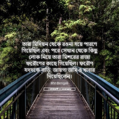 Picture 05 - 1 ৰাজাৱলী 11:18 BENIRV - তারা মিদিয়ন থেকে - Bible Verse Picture