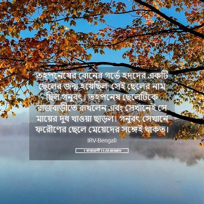 Picture 05 - 1 ৰাজাৱলী 11:20 BENIRV - তহ্‌পনেষের বোনের - Bible Verse Picture