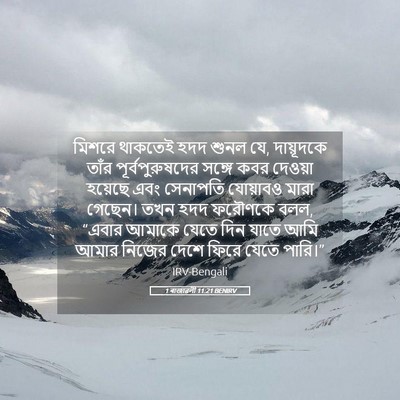 Picture 05 - 1 ৰাজাৱলী 11:21 BENIRV - মিশরে থাকতেই হদদ - Bible Verse Picture