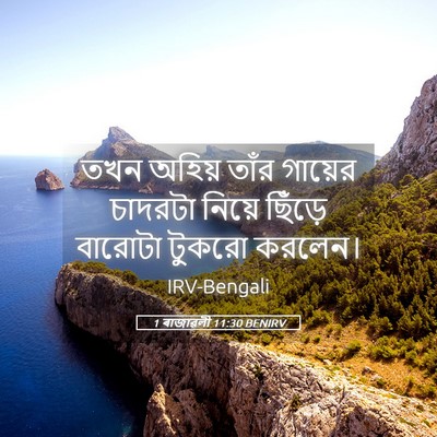 Picture 05 - 1 ৰাজাৱলী 11:30 BENIRV - তখন অহিয় তাঁর - Bible Verse Picture