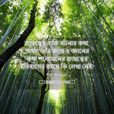 Picture 05 - 1 ৰাজাৱলী 11:41 BENIRV - রাজত্বের বাকি - Bible Verse Picture